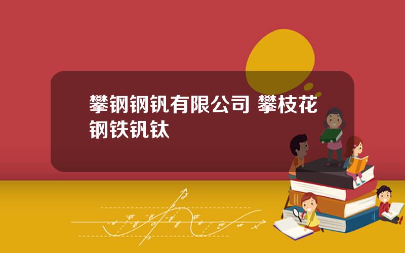 攀钢钢钒有限公司 攀枝花钢铁钒钛